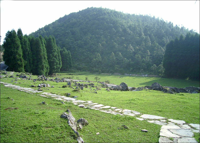 黄水森林公园一景_石柱黄水风景图片_重庆旅游网