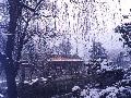 ˮľ�廪