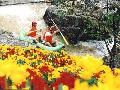 芙蓉峡至尊漂流