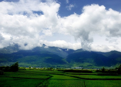 大理自然马帮旅游服务