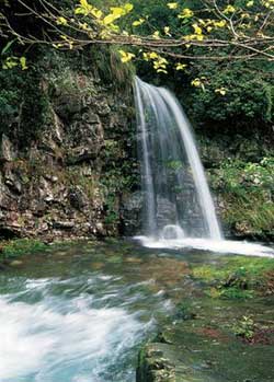 宣城柏枧山介绍