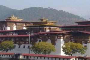 "宗Dzong"是17世纪初期由不丹第一位神权领袖拿旺喇嘛Ngawang Namgya所创建的，是集政、教、法于一身的喇嘛教僧院兼城堡建筑，不丹几乎每个重要谷地都有"宗"的设立，做为抵御外侵的要塞。  普那卡宗（Punakha Dzong）建于1636年，是不丹境内第二古老的寺院。  不丹人相信但凡两条河或两条路交汇，即是圣灵集中地，普那卡宗于两条主要支流母亲河MoChu和父亲河PhoChu之间，流水淙淙，格外宁静，院中一大棵菩提树，古木参天，小和尚成群走过，刹那心平如镜。普那卡宗（英语：Punakha District）是不丹二十个宗（dzongkhag）之一，面积达1,016平方公里，人口约23,340人，首府为普那卡。建筑特色  大殿的立柱全部为铜皮镂花雕刻，其内容主要是吉祥纹花草人物，再通体镀金，其长度为5米左右；部分门窗也都以整张铜皮镀金，但未有雕花。门框饰以色彩繁杂的雕花，与之相配，显示出不丹人在色彩创新上的大胆和独特的艺术魅力。这种怪诞的反差，只有藏传佛教艺术才敢大肆地应用，并延续了几个世纪，这让人惊叹。让人吃惊的是主殿的窗户镂雕花竟是中国古代中原的吉祥花纹。