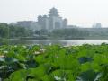 豐臺蓮花池公園