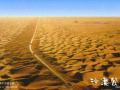塔里木沙漠
