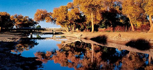 ��������ַ