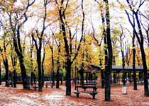 盧森堡公園