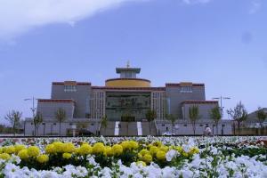 ��ҽҩ�Ļ������