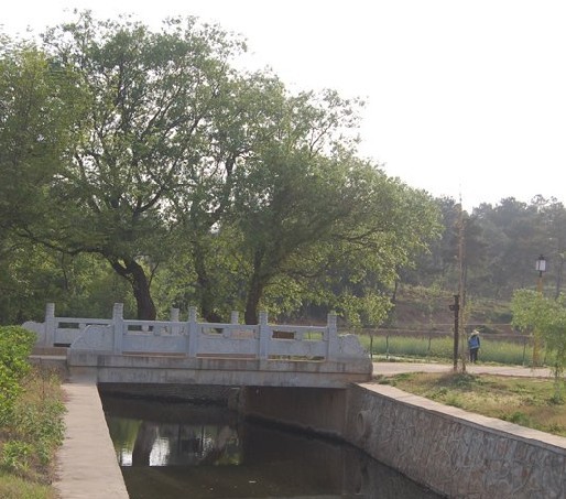 ����ӻ���