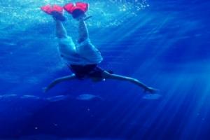 红珊瑚潜水俱乐部