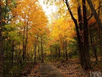 ����ɽ�羰��