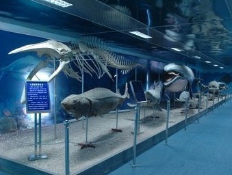 ������������