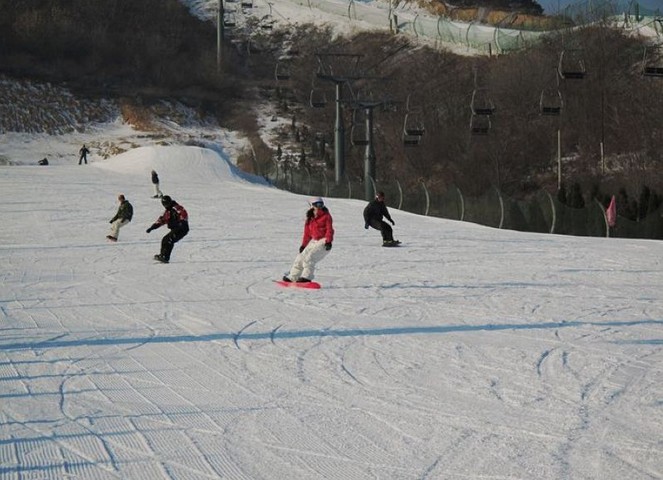 ������ѩ��