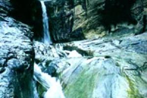 �㶫������