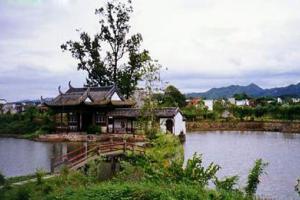 黃山歙縣檀干園