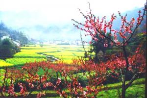 黃山休寧農業(yè)高科技園